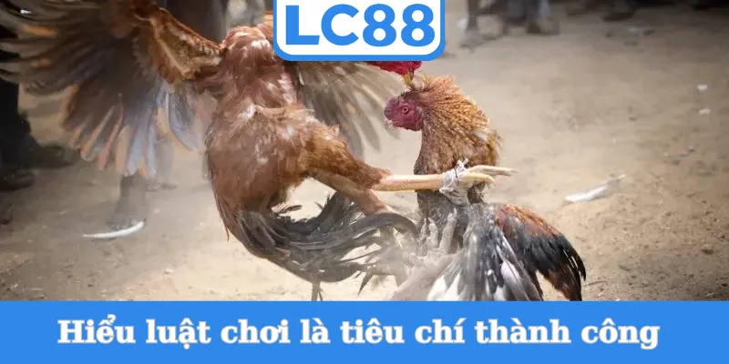 hieu-luat-choi-la-tieu-chi-thanh-cong