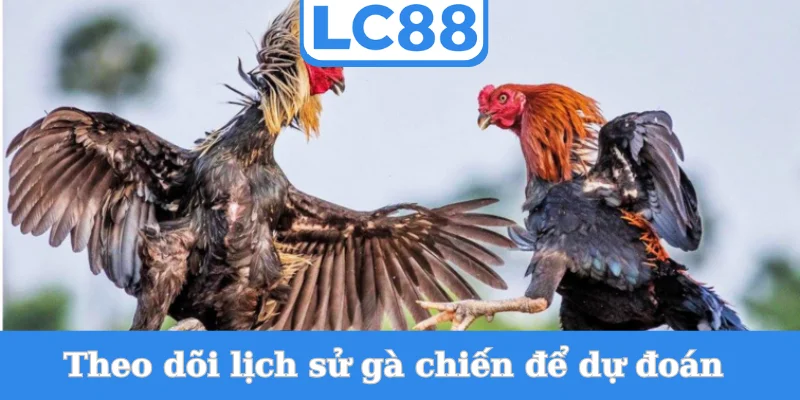 theo-doi-lich-su-ga-chien-de-du-doan